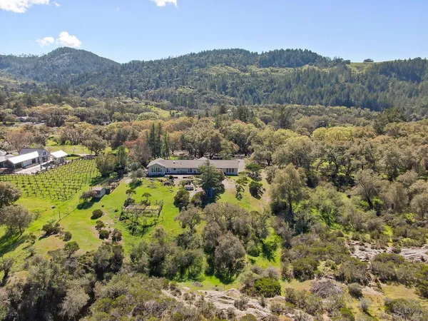 a view of a lush green hillside and houses