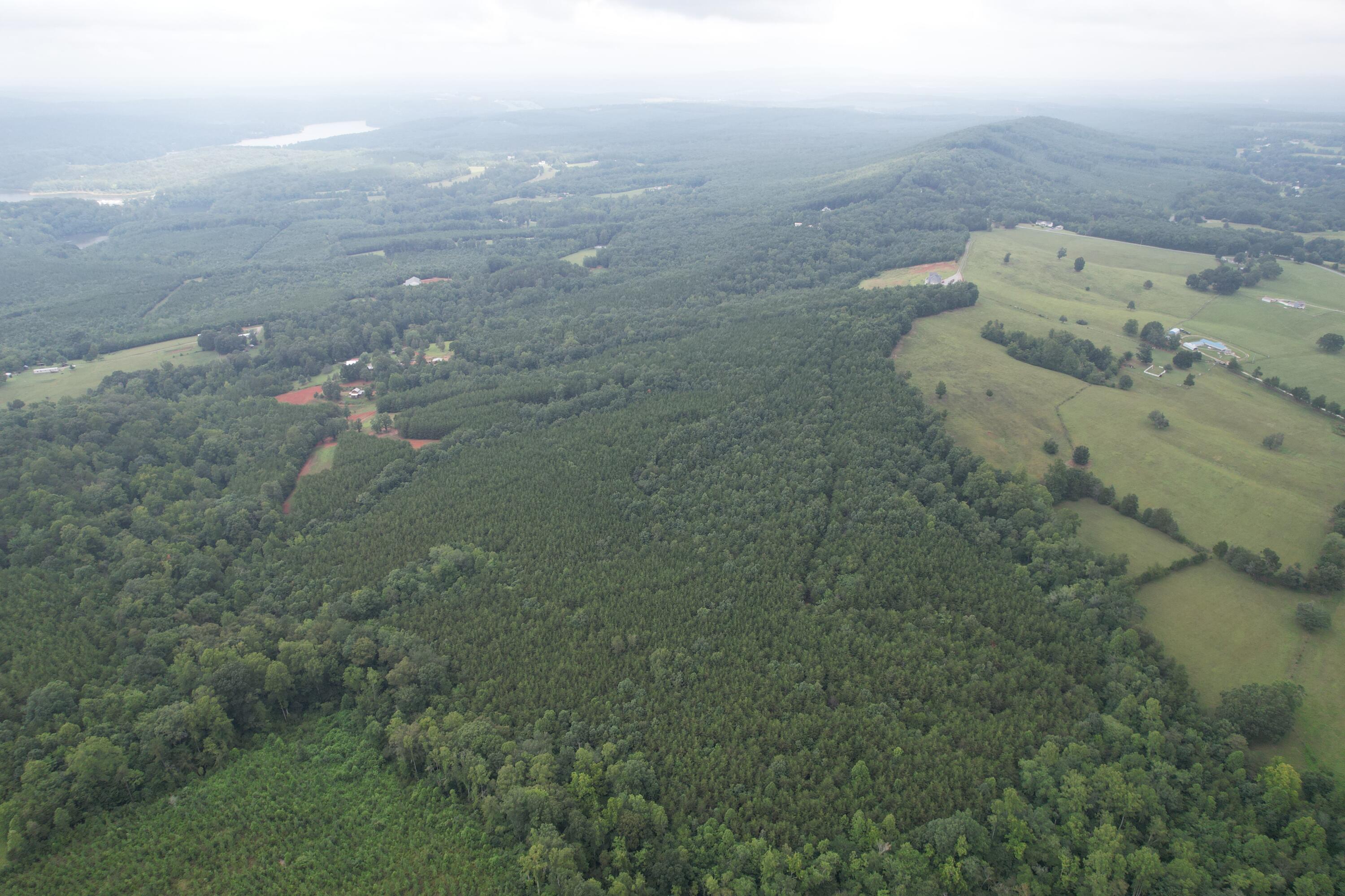 0 Paisley Road Gretna, VA 24557 - Photo 23 of 48 DJI_0109