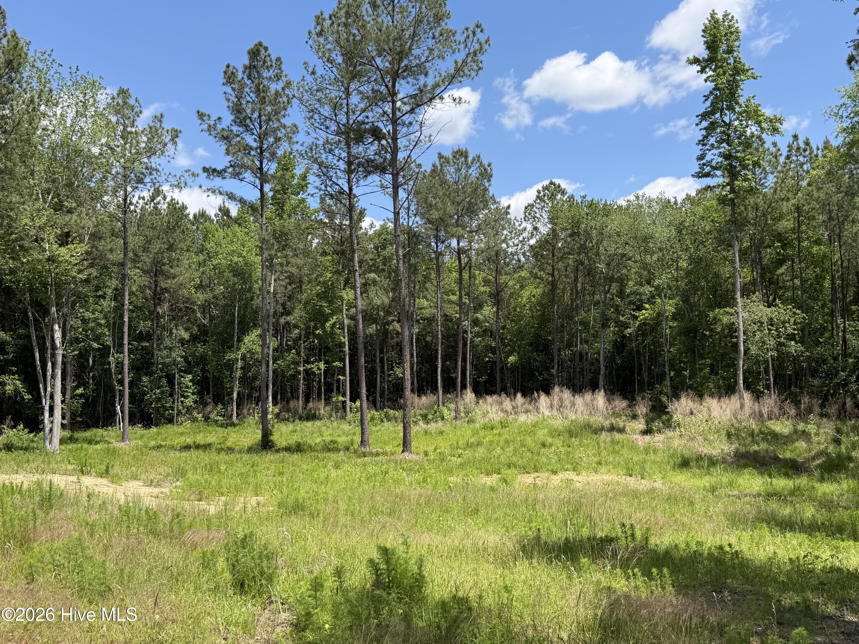 979 Aiken Road Vass, NC 28394 - Photo 14 of 26 979 Aiken Rd 14