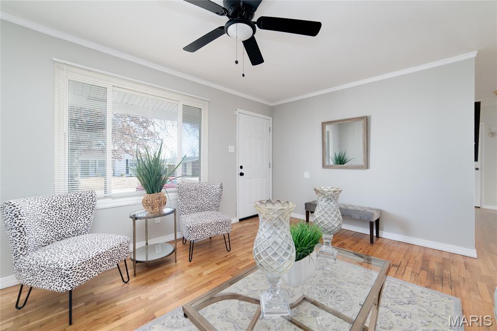 10541 Castle Drive St. Louis, MO 63136 - Photo 2 of 26