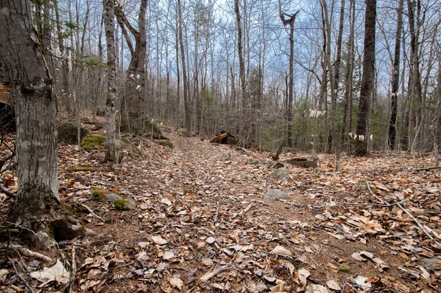 $17,900 | Lot 45.3 Onawa Road, Guilford, ME 04443