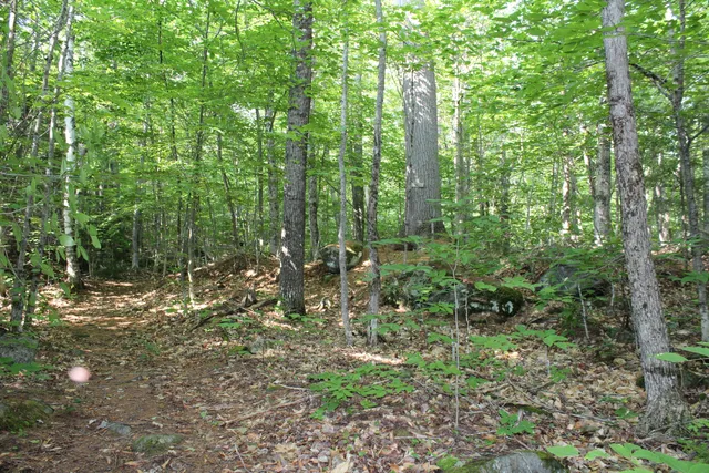 $17,900 | Lot 45.3 Onawa Road, Guilford, ME 04443