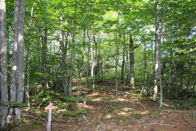 $17,900 | Lot 45.3 Onawa Road, Guilford, ME 04443