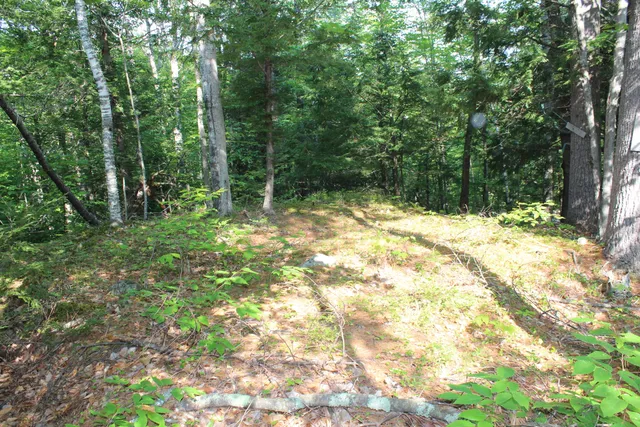 $17,900 | Lot 45.3 Onawa Road, Guilford, ME 04443