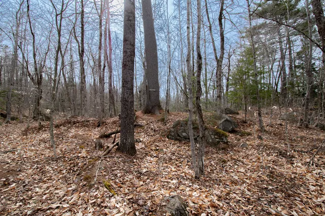 $17,900 | Lot 45.3 Onawa Road, Guilford, ME 04443