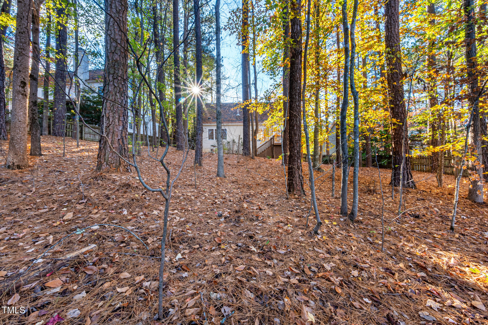 506 Manor Ridge Road Carrboro, NC 27510 - Photo 29 of 30 a view of a yard with plants and trees