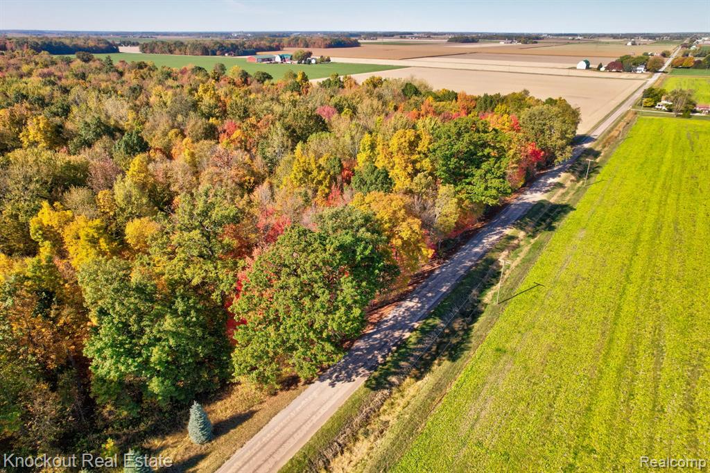 4000 South Reese Road Frankenmuth, MI 48734 - Photo 18 of 18