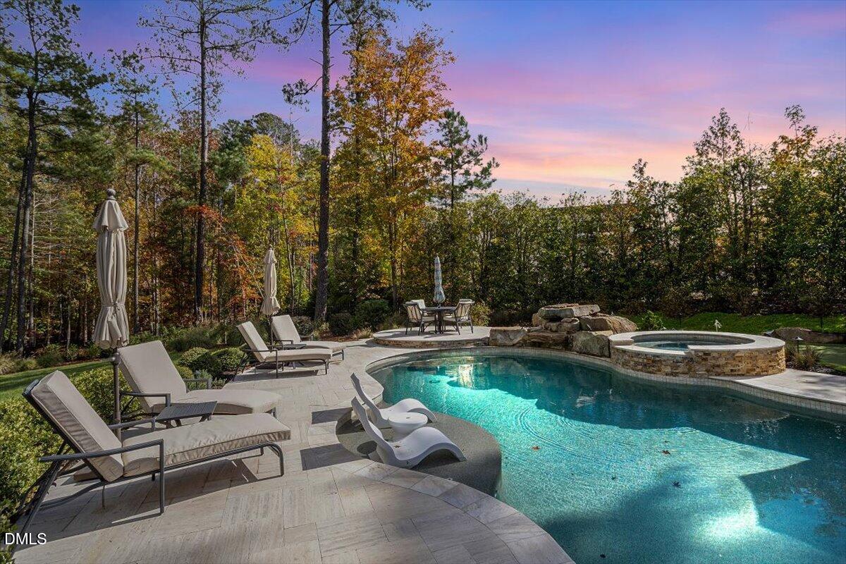 1413 Lily Estates Drive Raleigh, NC 27614 - Photo 73 of 82 a view of a swimming pool with lawn chairs and plants