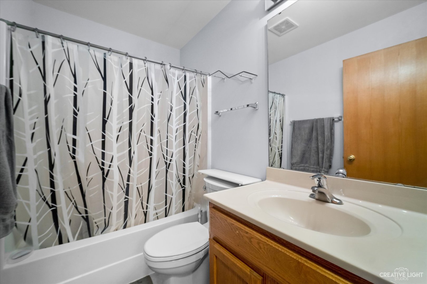 401 Lake Lida Lane Rochelle, IL 61068 - Photo 12 of 20 a bathroom with a sink a toilet and a mirror