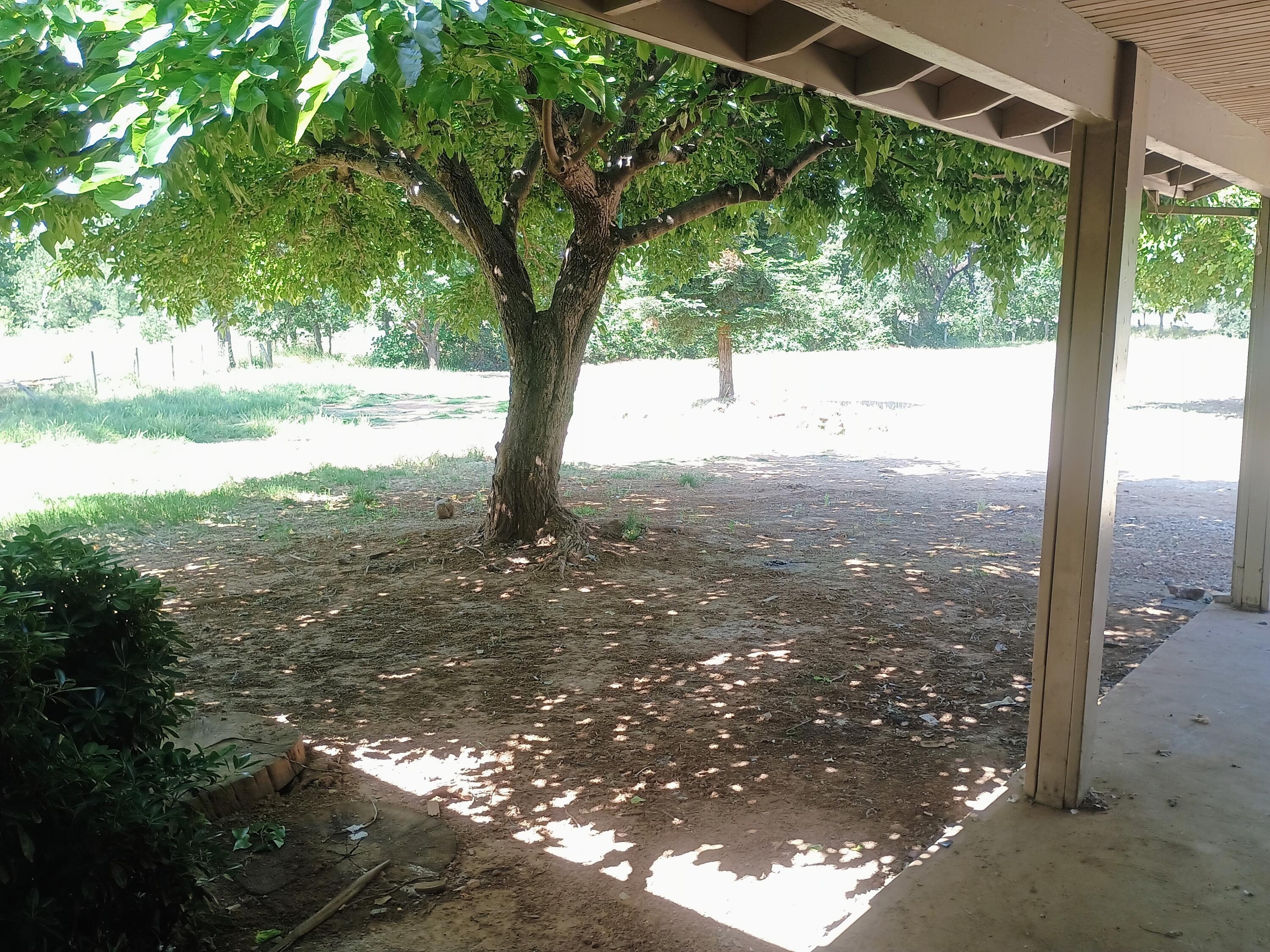 14425 Holiday Road Redding, CA 96003 - Photo 20 of 28 holporchview