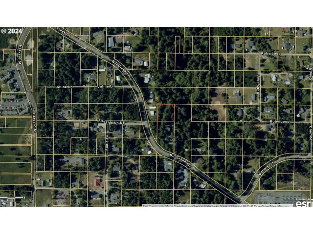 $43,000 | Bill Creek Lane, Bandon, OR 97411