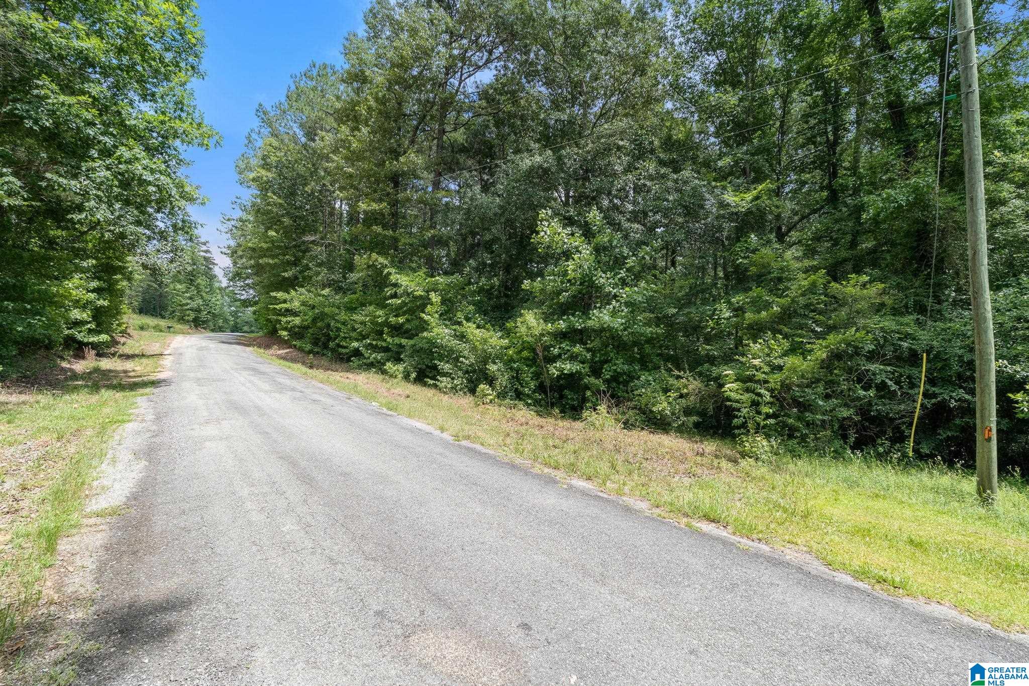 0 Waldrop Road, Unit 1 Ashville, AL 35953 - Photo 12 of 13