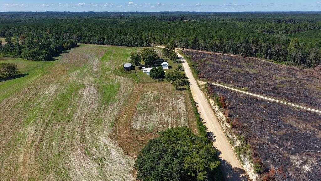 17387 Head Farm Road Andalusia, AL 36420 - Photo 26 of 55 Gallery Image 26