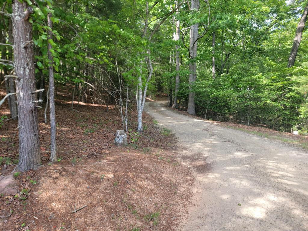 44 Sugar Maple Road Murphy, NC 28906 - Photo 2 of 11