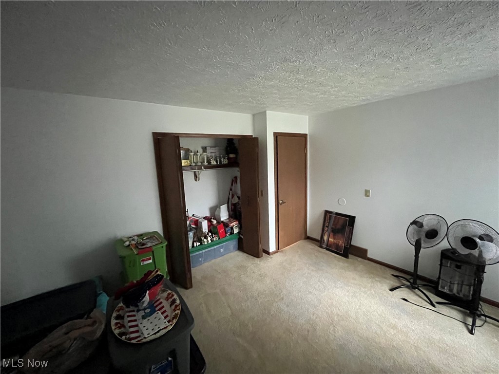 1455 Welch Road Painesville, OH 44077 - Photo 39 of 42 Gallery Image 39