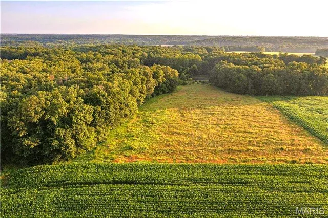 $350,000 | 86 Combs Road, Bellflower, MO 63333