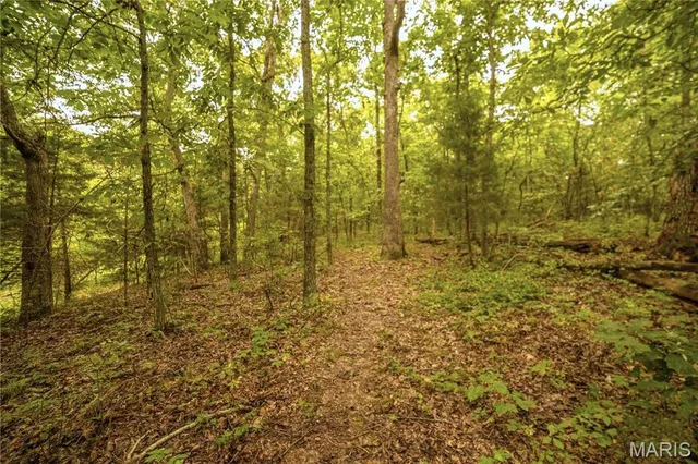 $350,000 | 86 Combs Road, Bellflower, MO 63333