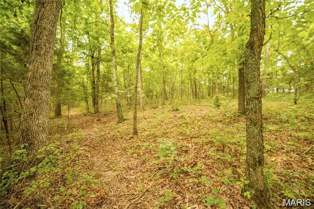 $350,000 | 86 Combs Road, Bellflower, MO 63333