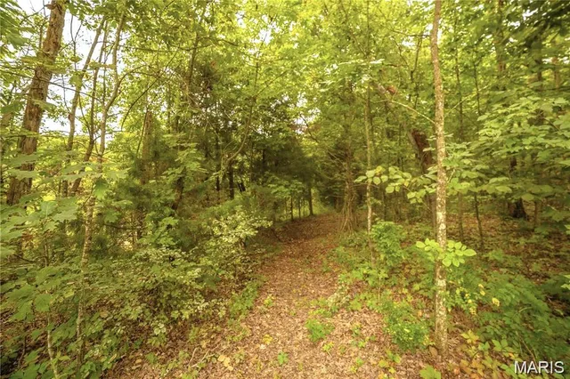 $350,000 | 86 Combs Road, Bellflower, MO 63333