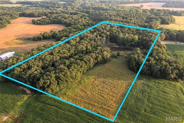 $350,000 | 86 Combs Road, Bellflower, MO 63333