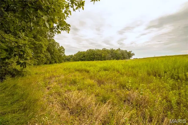 $350,000 | 86 Combs Road, Bellflower, MO 63333