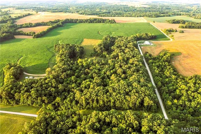 $350,000 | 86 Combs Road, Bellflower, MO 63333