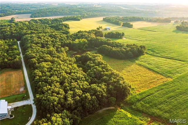 $350,000 | 86 Combs Road, Bellflower, MO 63333