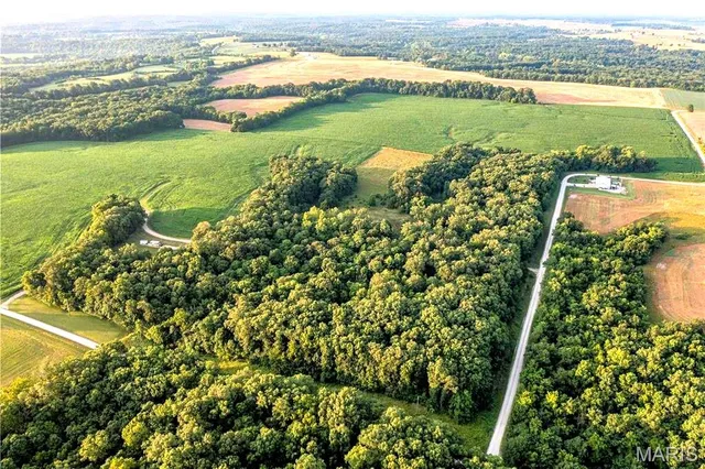 $350,000 | 86 Combs Road, Bellflower, MO 63333