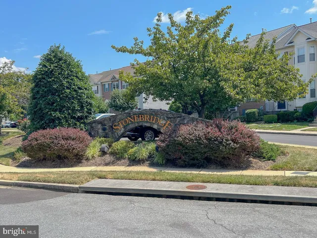 a view of a garden with a plants and trees