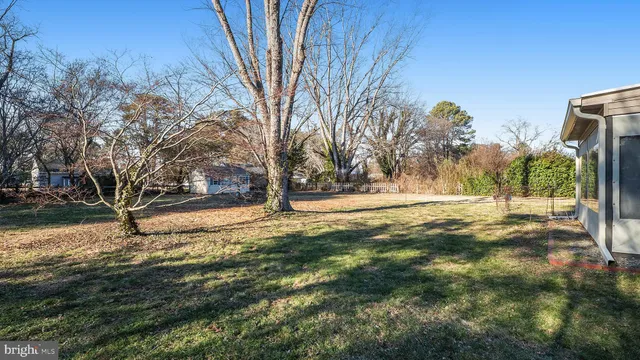 a view of yard with tree