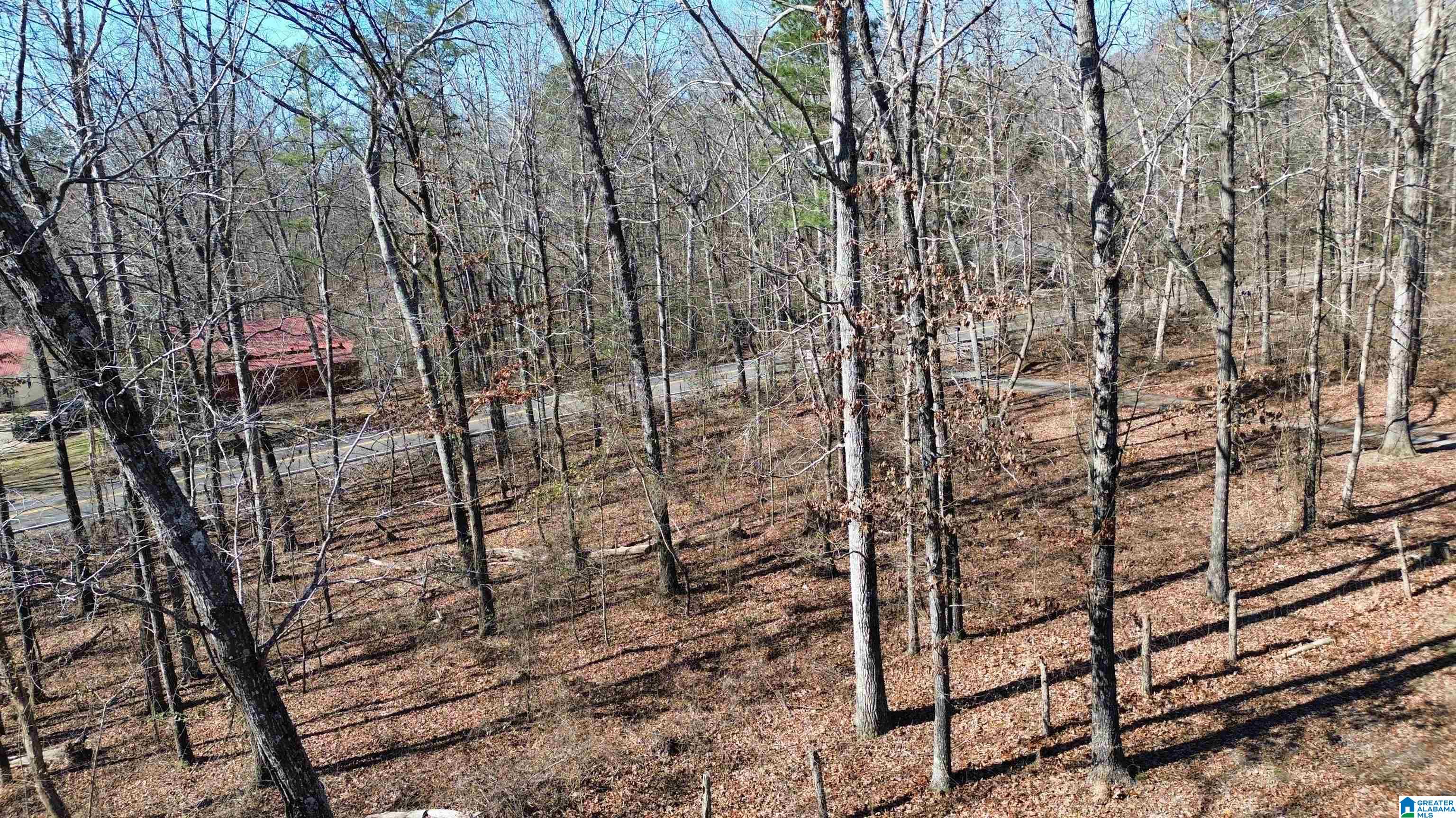 9516 Newell Hill Road Warrior, AL 35180 - Photo 8 of 50 Gallery Image 8