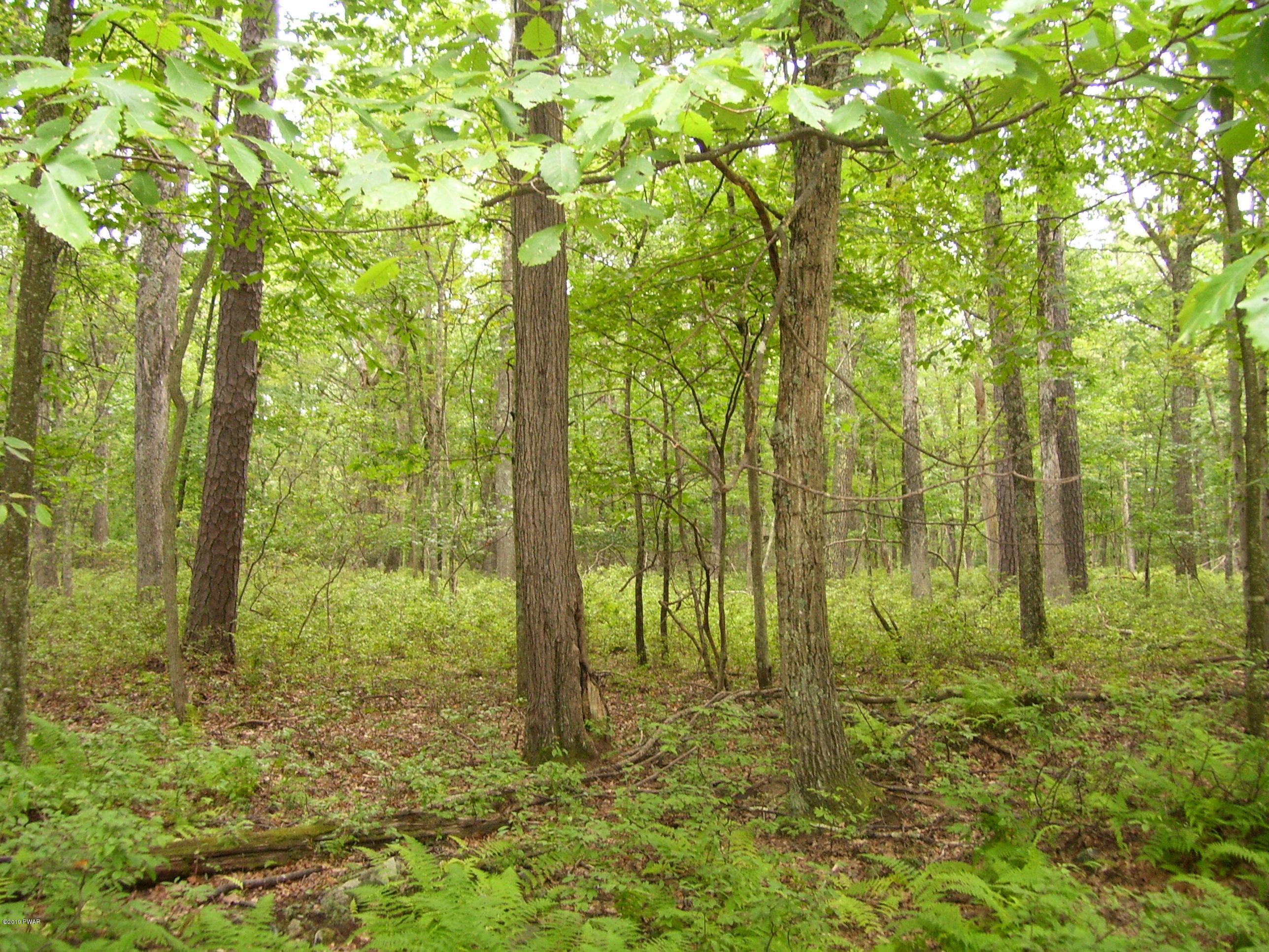 Lot 149 Mountain Top Road Lackawaxen, PA 18435 - Photo 3 of 8