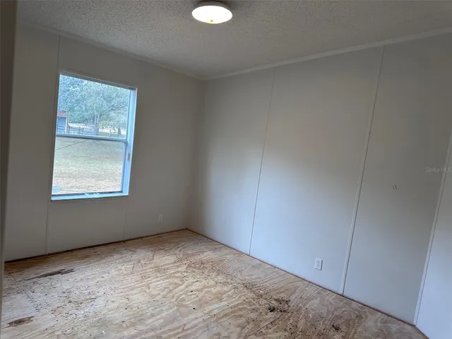 a plant with lots of trees