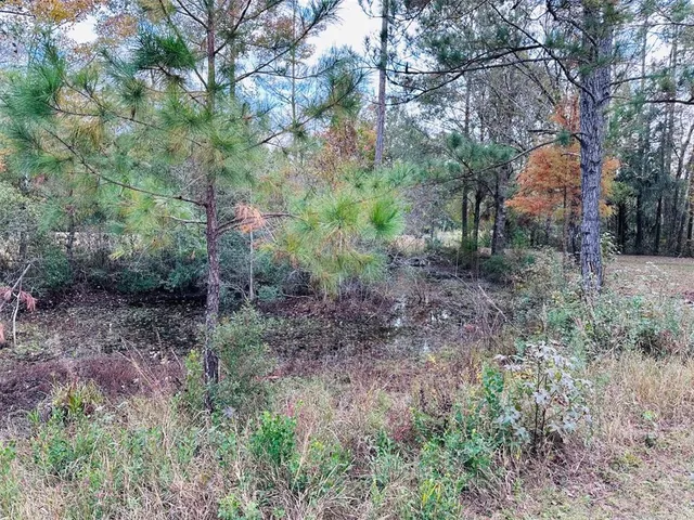 a backyard of a house