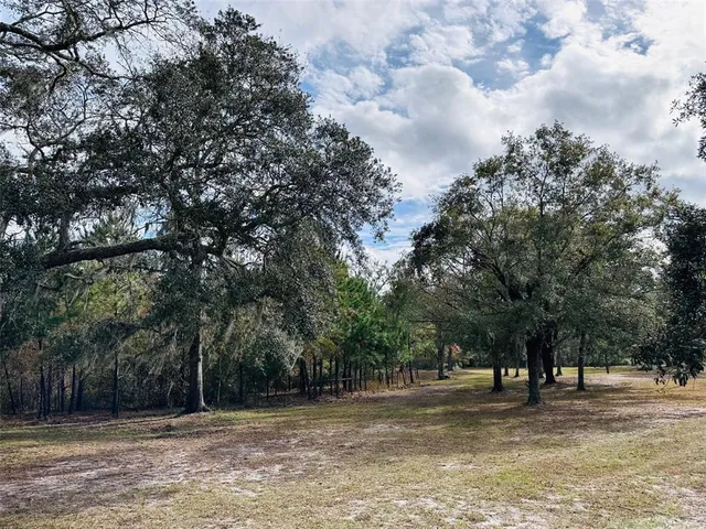 a swimming pool with trees in the background
