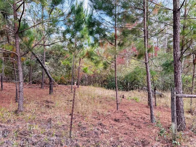 $310,000 | 12468 Southeast Highway 349, Old Town, FL 32680