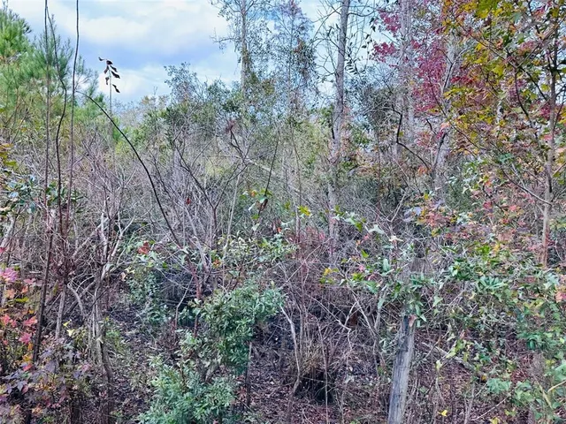 $310,000 | 12468 Southeast Highway 349, Old Town, FL 32680