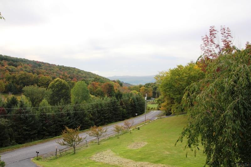 179 Sitzer Road Warnerville, NY 12187 - Photo 3 of 20 Photo 3