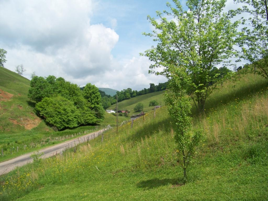 777 Buttermilk Road Trade, TN 37691 - Photo 31 of 36 Photo 31