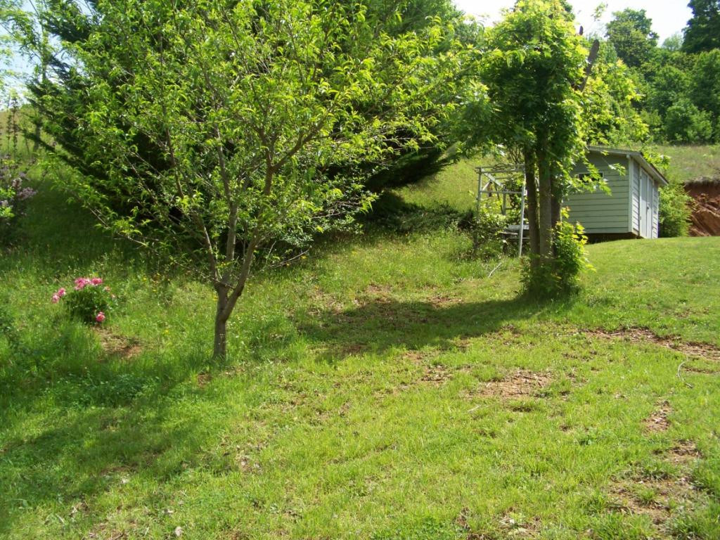777 Buttermilk Road Trade, TN 37691 - Photo 32 of 36 Photo 32