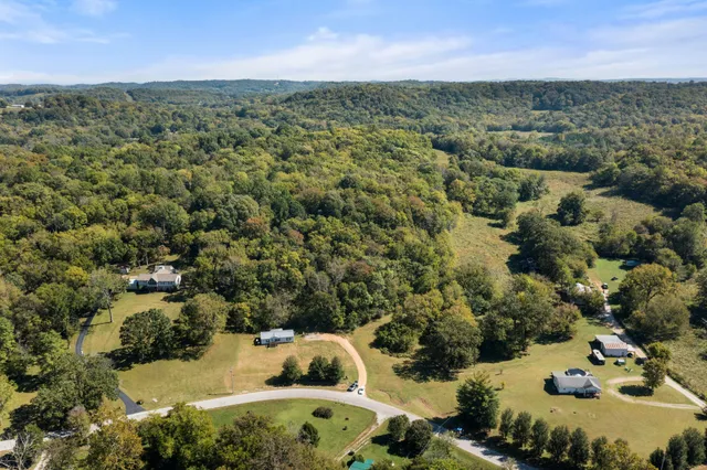 a view of a forest with a street