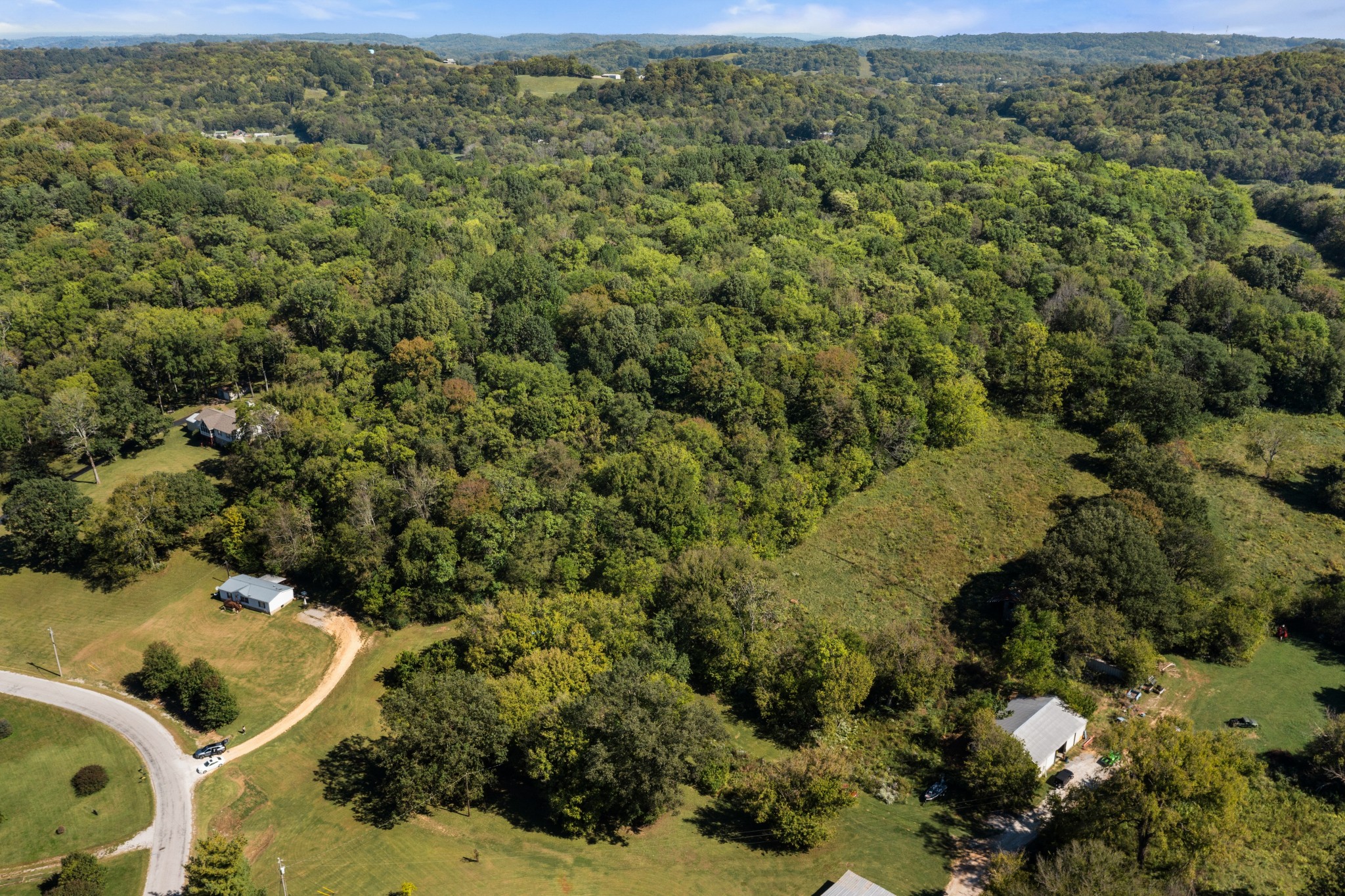 5147 Wiley Hollow Road Culleoka, TN 38451 - Photo 25 of 29 a view of a forest with a street