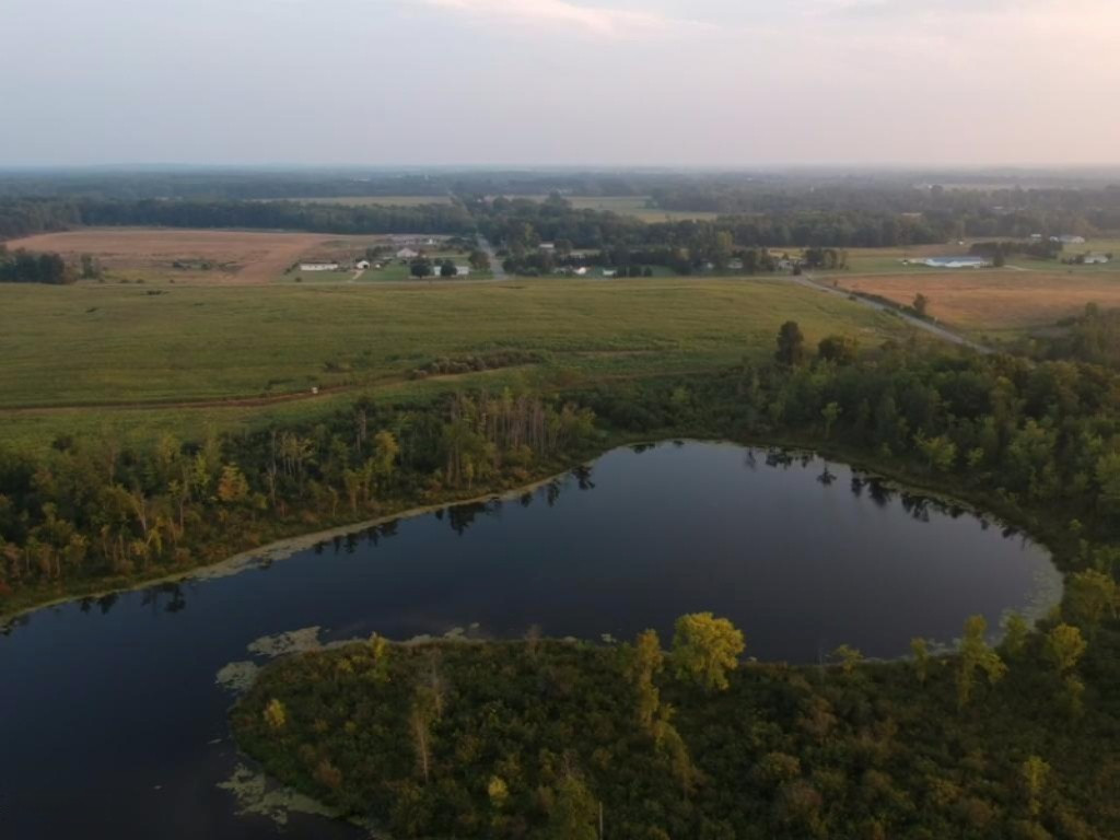 2282 Fleck Road Six Lakes, MI 48886 - Photo 2 of 15 fleck 2