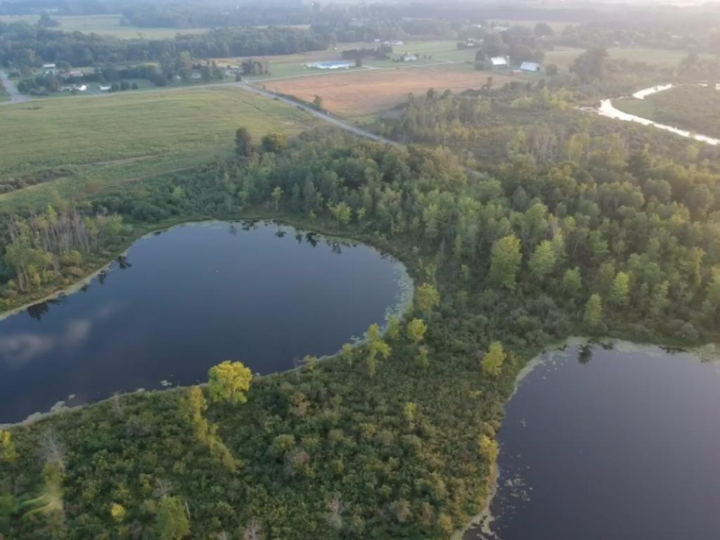2282 Fleck Road Six Lakes, MI 48886 - Photo 3 of 15 fleck 3