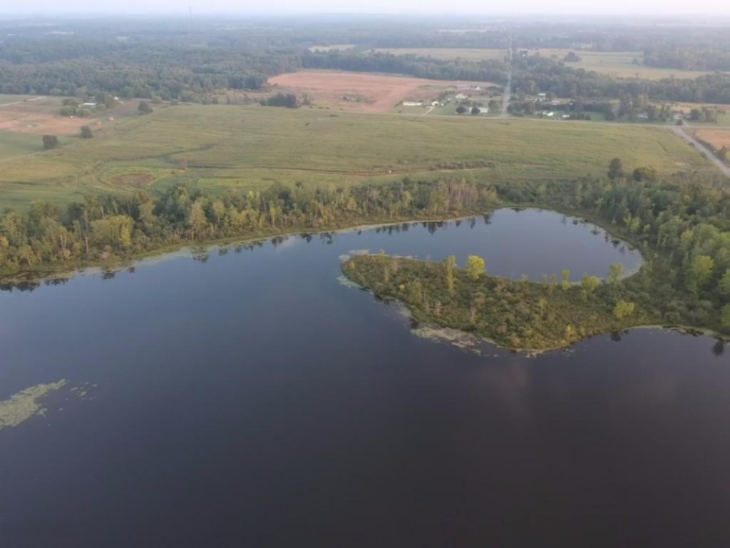 2282 Fleck Road Six Lakes, MI 48886 - Photo 5 of 15 fleck 6