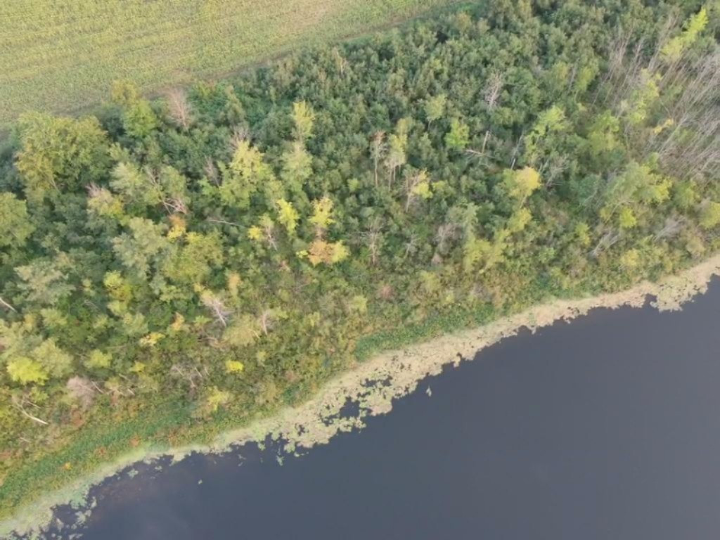 2282 Fleck Road Six Lakes, MI 48886 - Photo 7 of 15 fleck 8