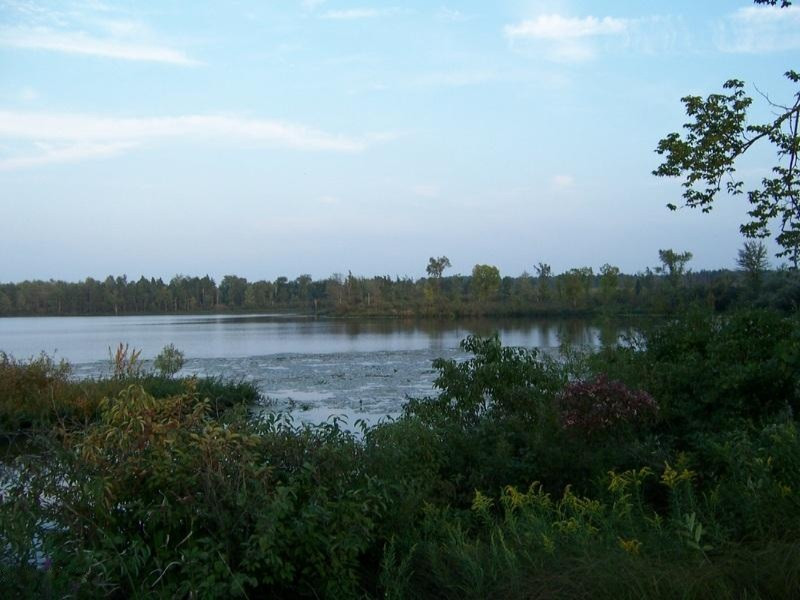 2282 Fleck Road Six Lakes, MI 48886 - Photo 9 of 15 100_4182