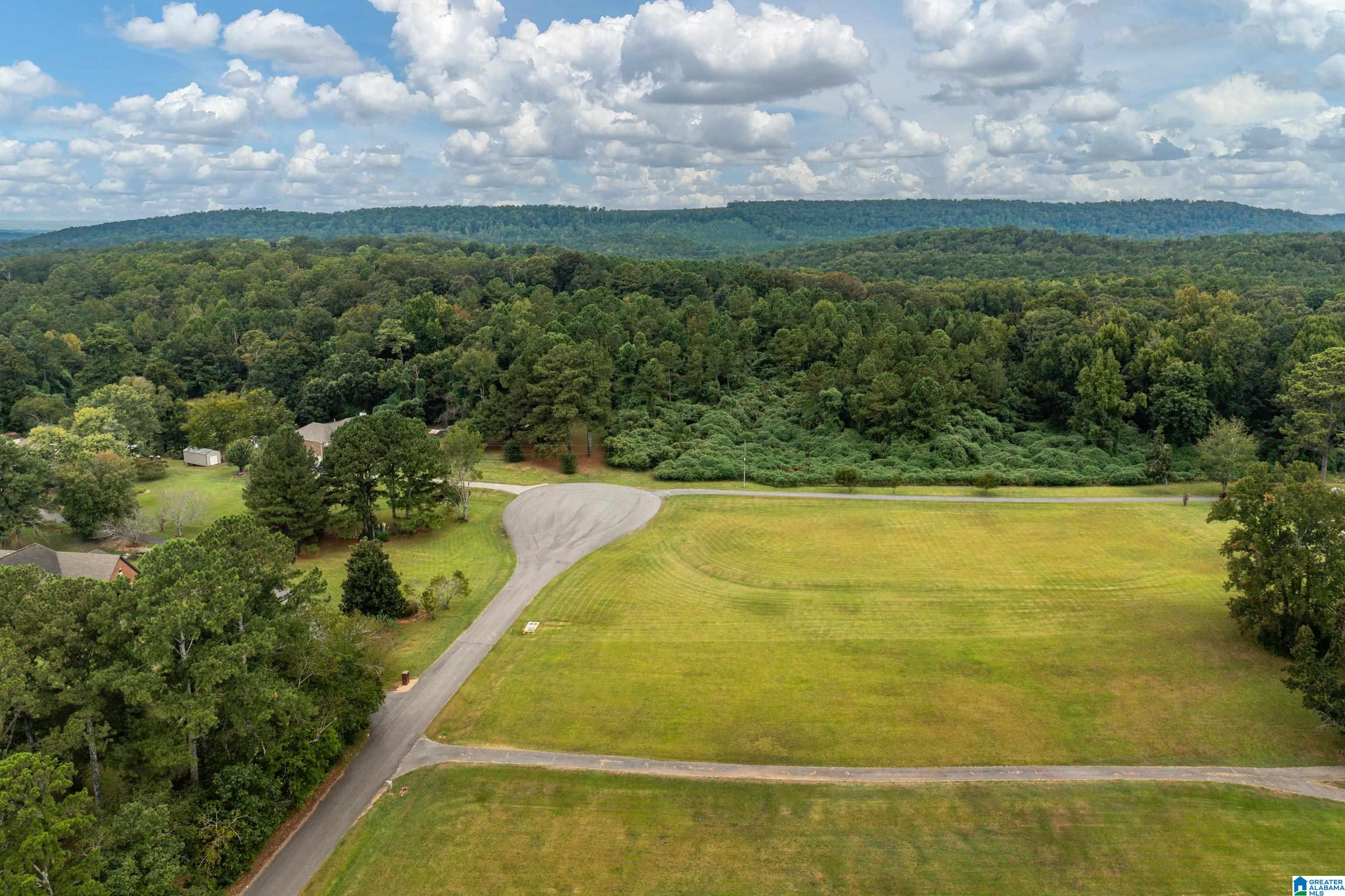 5981 Miles Spring Road, Unit 1 Pinson, AL 35126 - Photo 17 of 18 Gallery Image 17