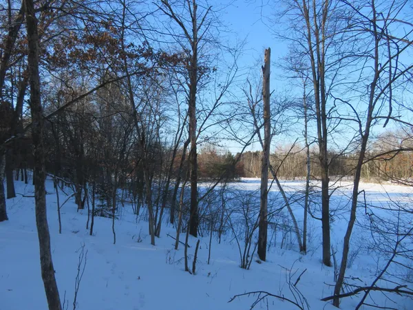$57,900 | Lot 1 Lincoln Avenue, Amery, WI 54001