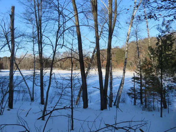 $57,900 | Lot 1 Lincoln Avenue, Amery, WI 54001